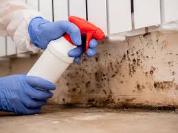 Best Mold Documentation for Insurance Claims  in Signal Mountain, TN